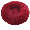 coussin pour chien rouge